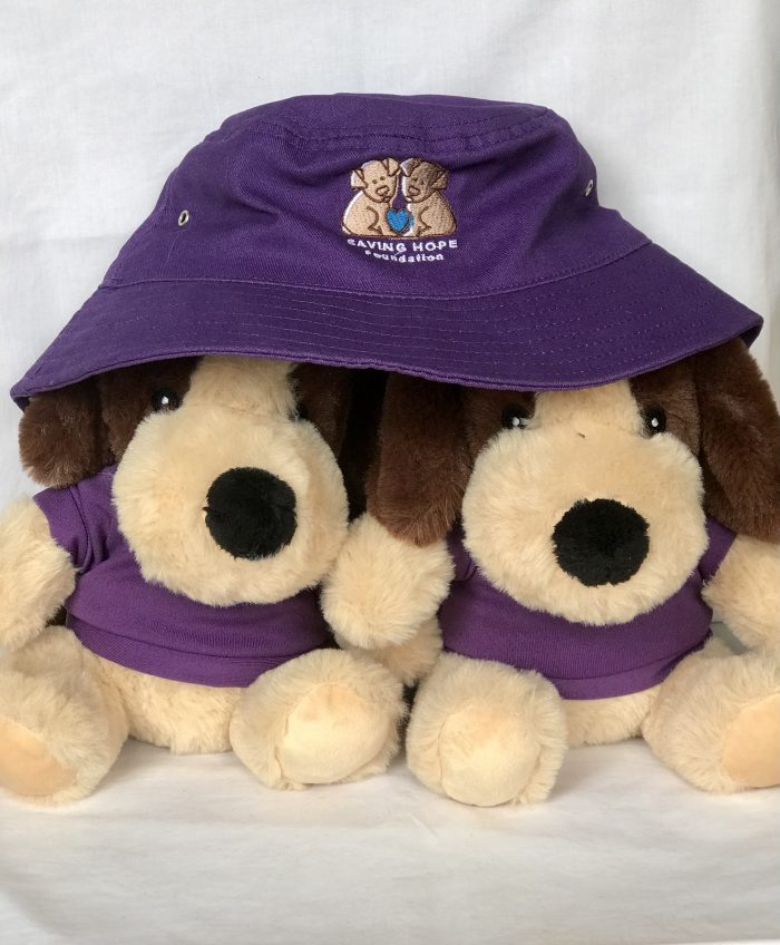 Saving Hope Special Dog Teddy