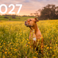 2027 Calendar