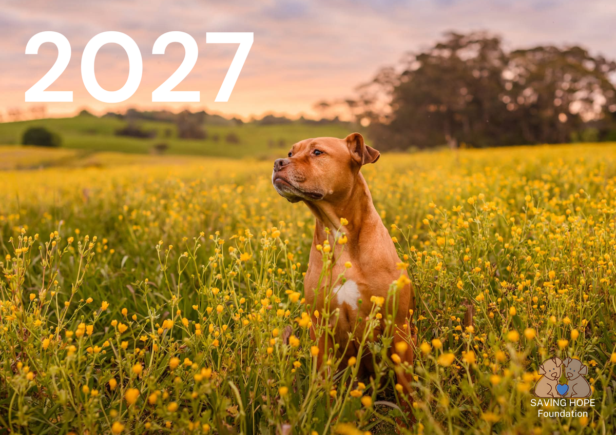 2027 Calendar