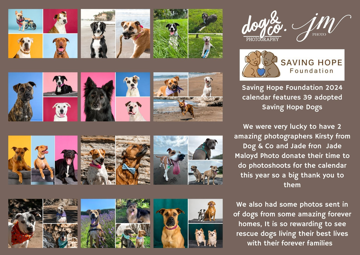 2024 Adopted Dogs Calendar SavingHopeFoundation NZ Shop