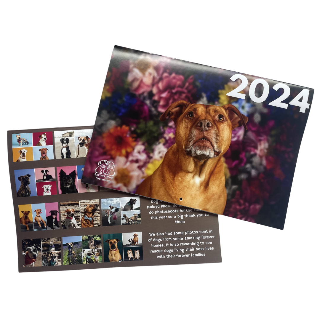 2024 Adopted Dogs Calendar SavingHopeFoundation NZ Shop