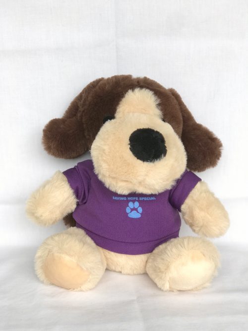 Saving Hope Special Dog Teddy – SavingHopeFoundation NZ Shop